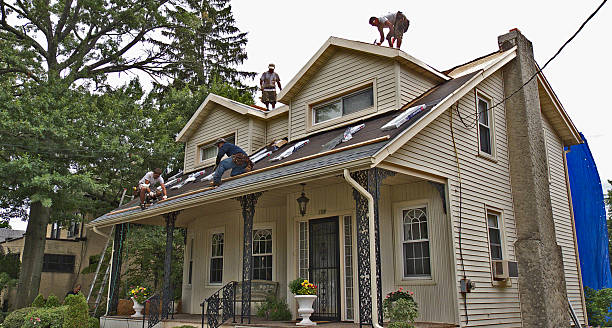 Best Storm Damage Roof Repair  in Floresville, TX